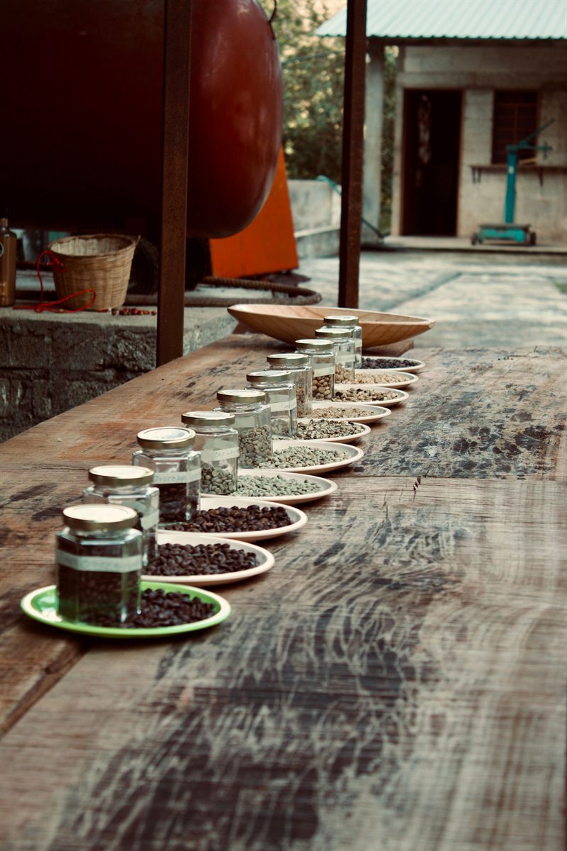 Coffee bean samples in jars