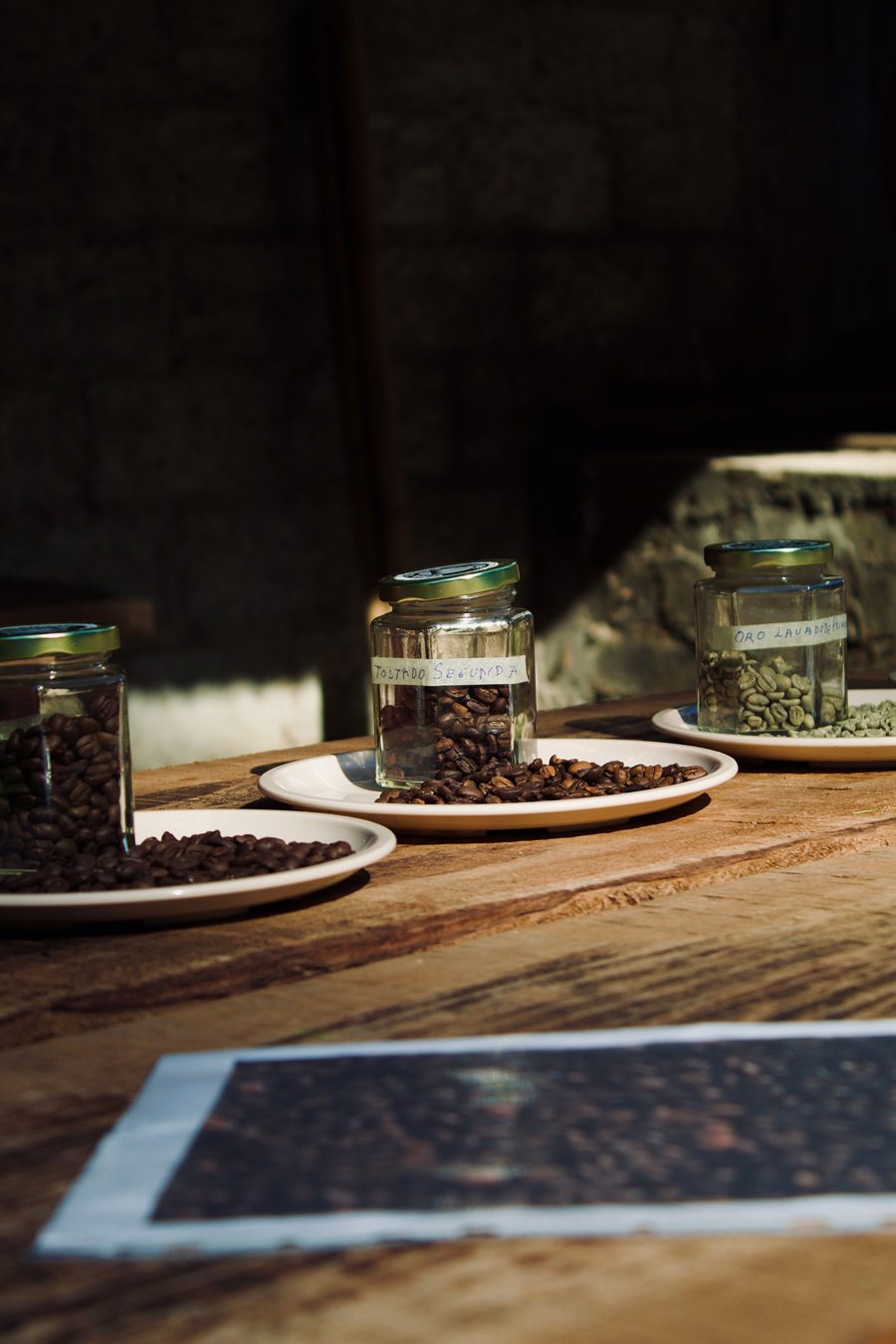 Coffee beans being graded