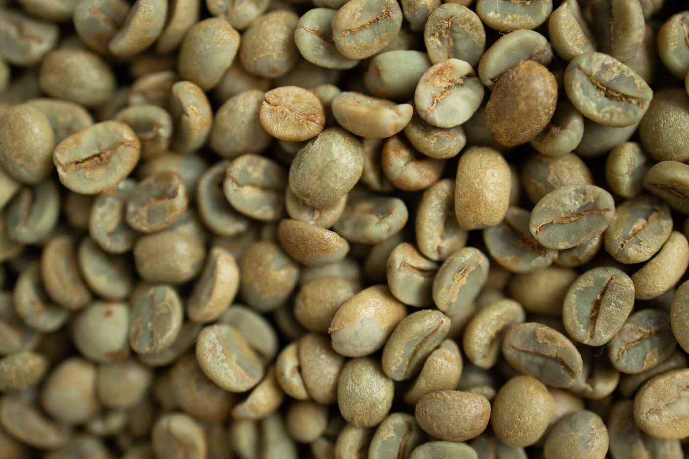 Green unroasted coffee beans