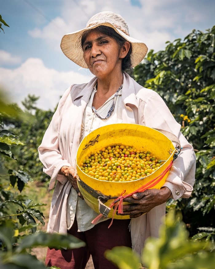 Coffee growing in the Americas