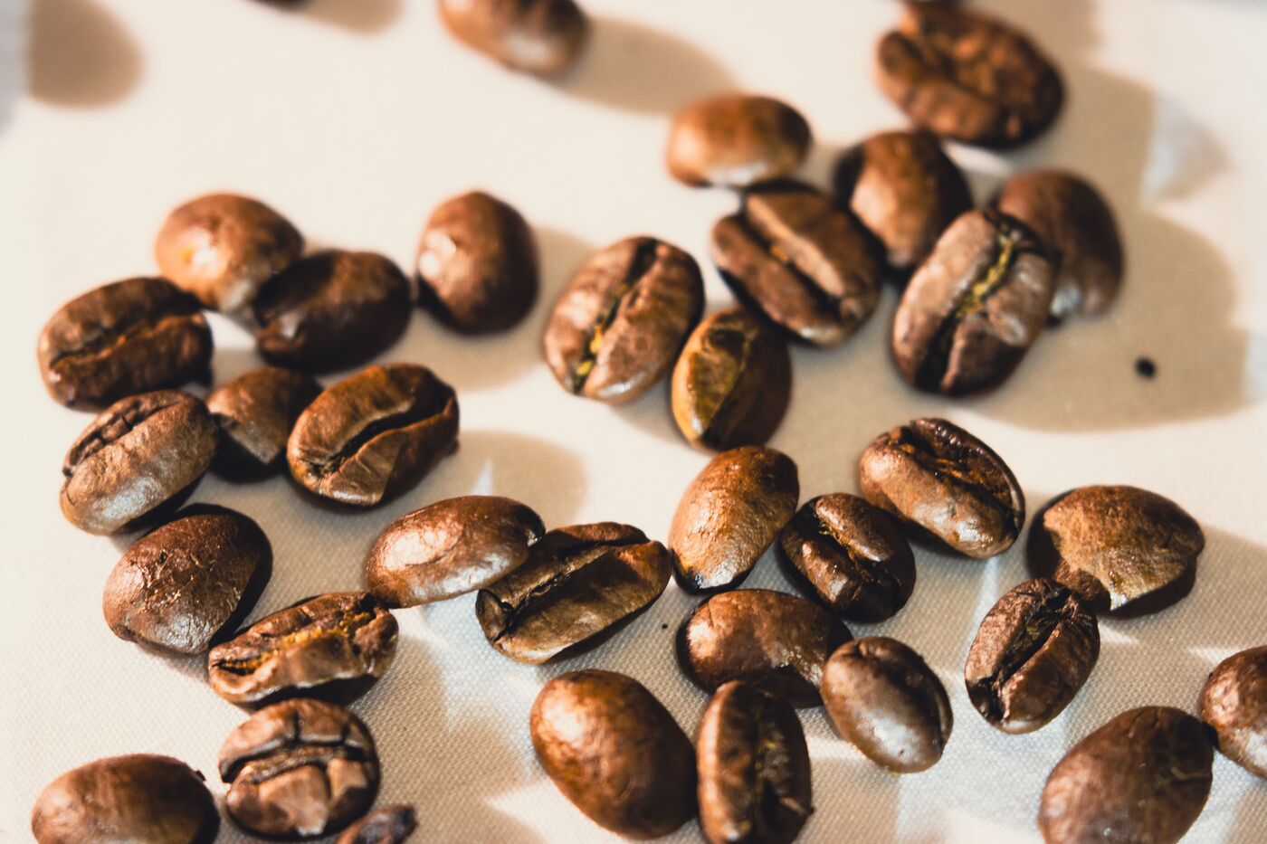 Freshly roasted coffee beans